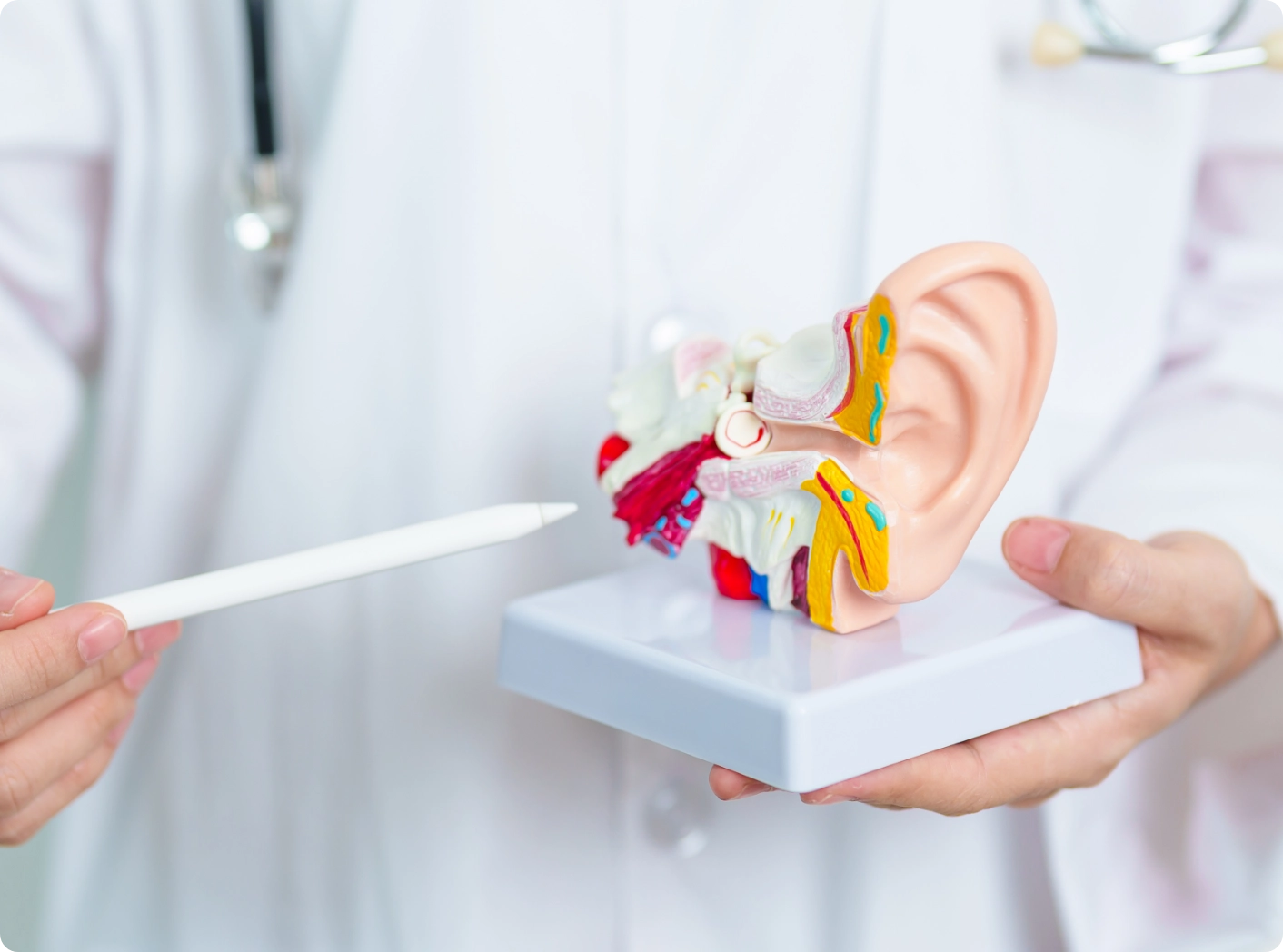 Audiology